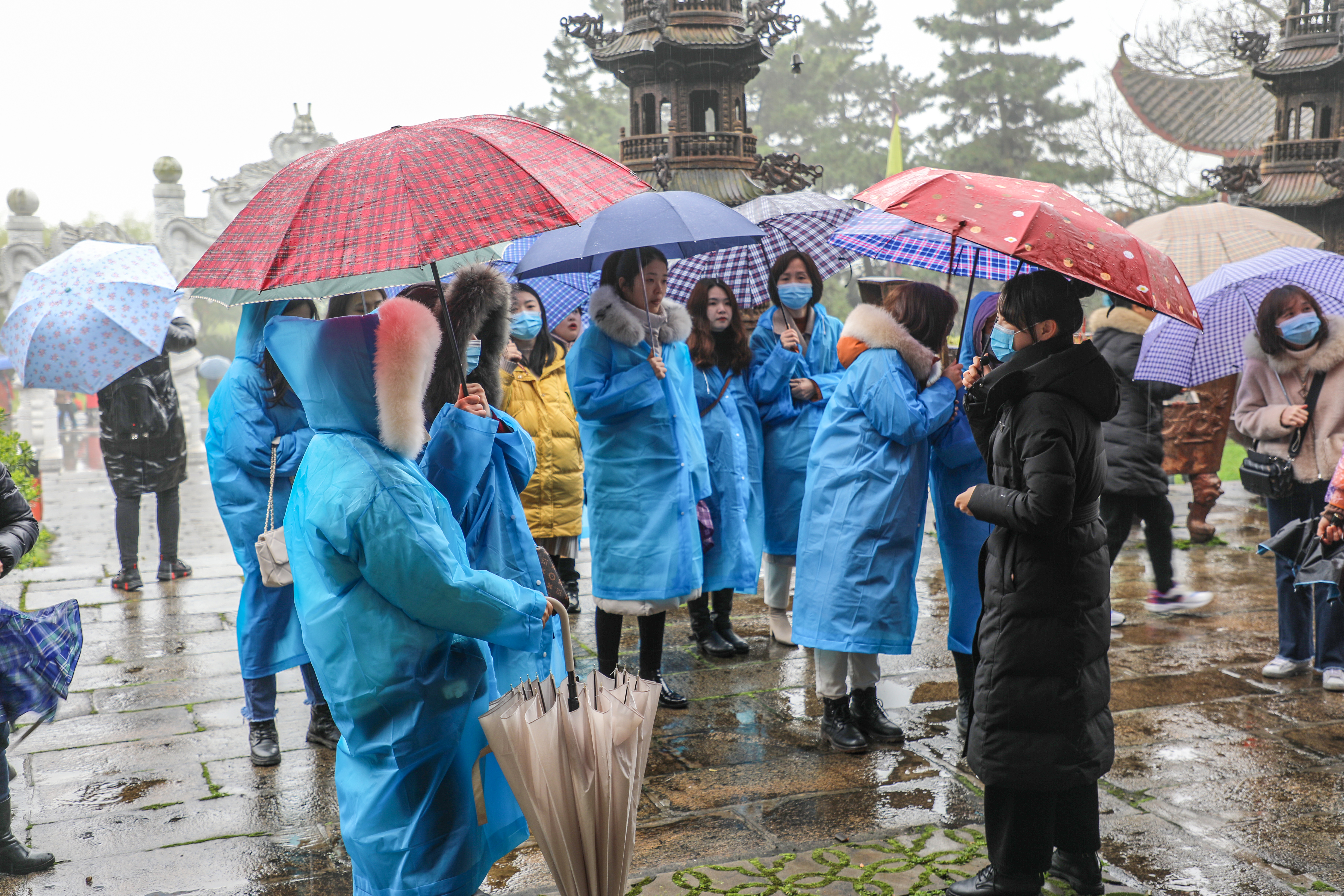 微信圖片_20210309085106.jpg 微信圖片_20210309085106.jpg